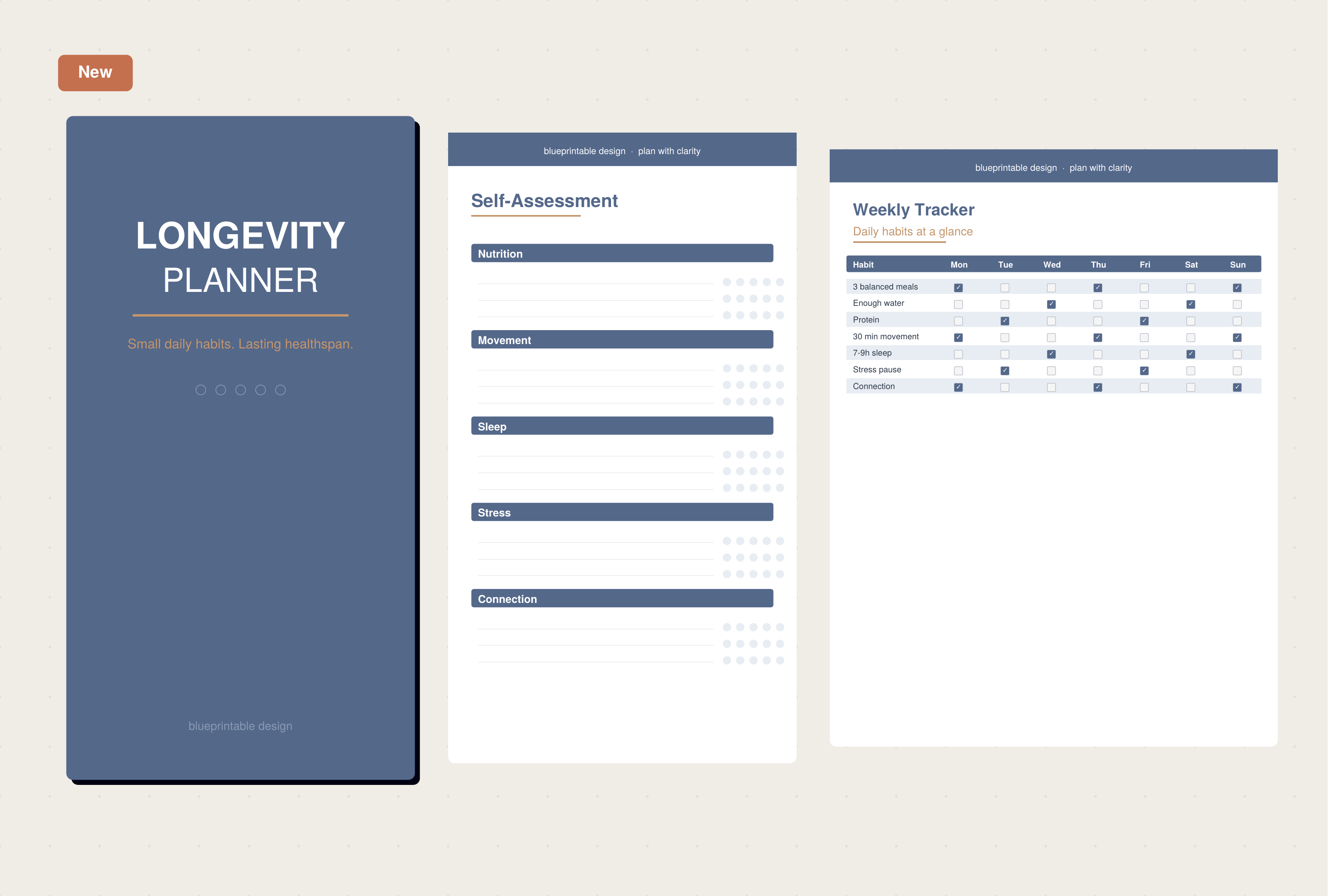 Longevity Planner preview — self-assessment, weekly trackers, and 90-day review